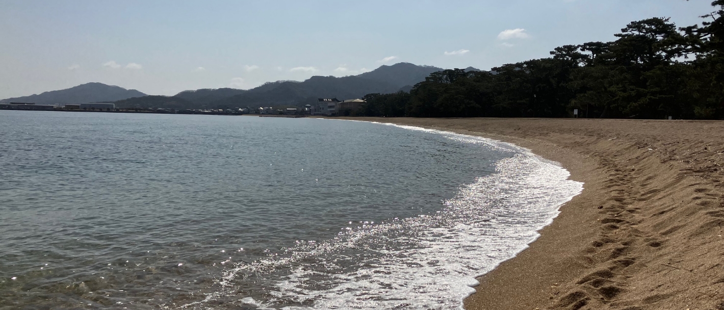 ハマヒルガオの保護活動